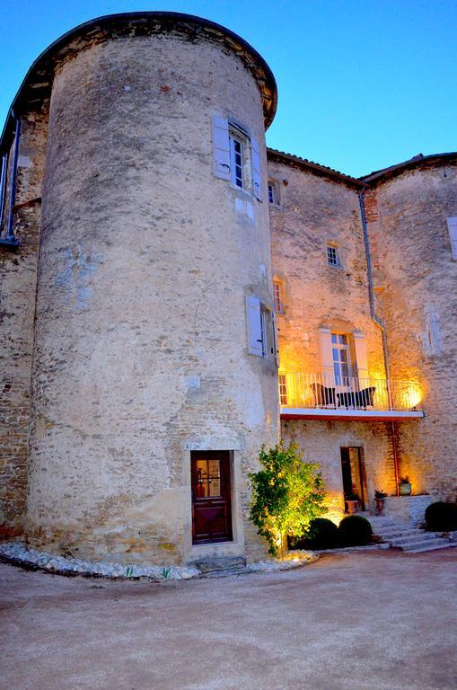 Chateau D'Ige Exterior photo