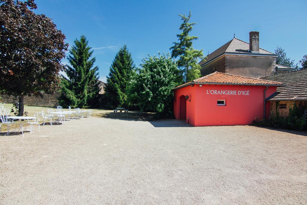 Chateau D'Ige Exterior photo