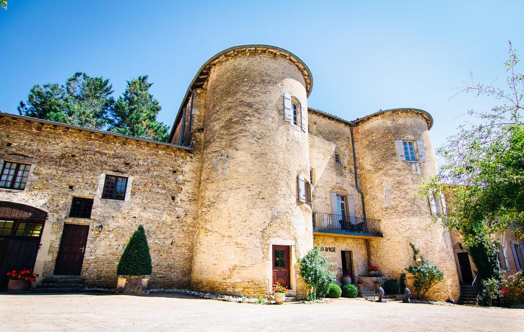 Chateau D'Ige Exterior photo