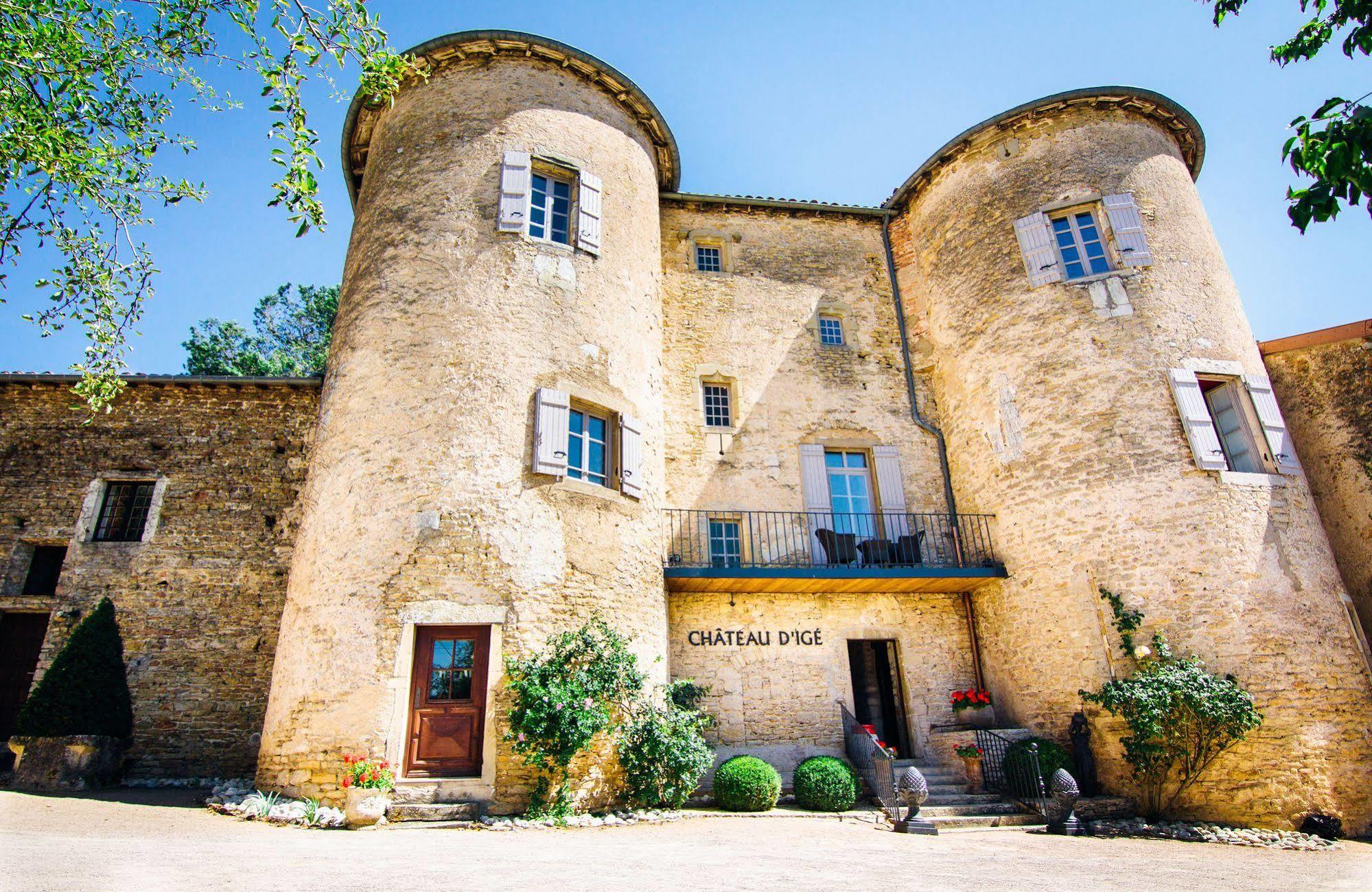 Chateau D'Ige Exterior photo